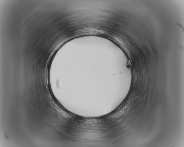 X0000096710843200803041339