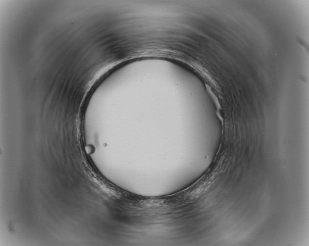 X0000096710846200803041339