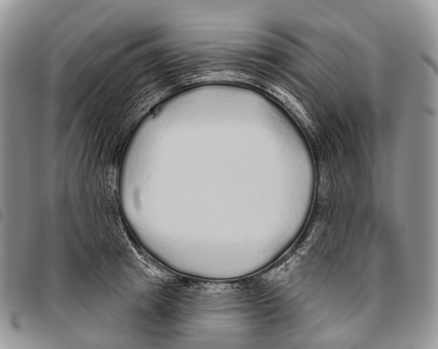 X0000096710849200803041339