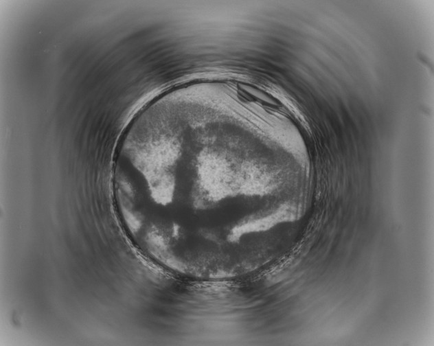 X0000096710853200803041339