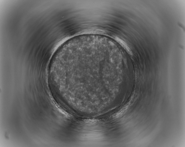 X0000096710854200803041339