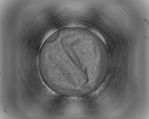 X0000096710855200803041339