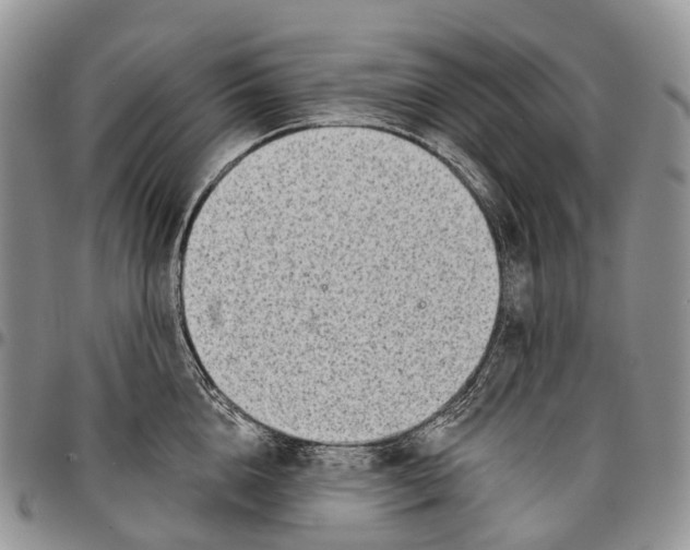 X0000096710856200803041339