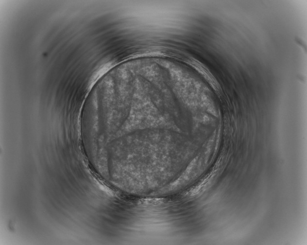 X0000096710858200803041339