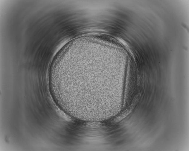 X0000096710859200803041339