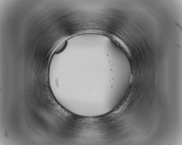 X0000096710860200803041339