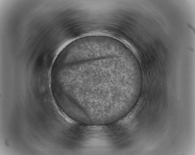 X0000096710862200803041339