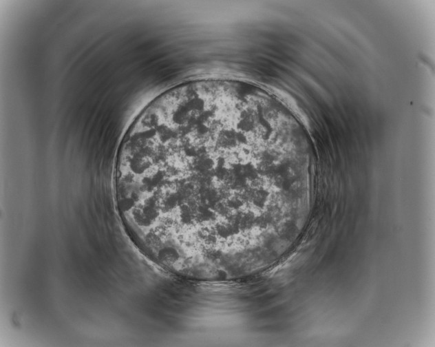 X0000096710863200803041339