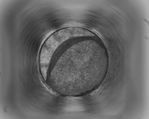 X0000096710864200803041339