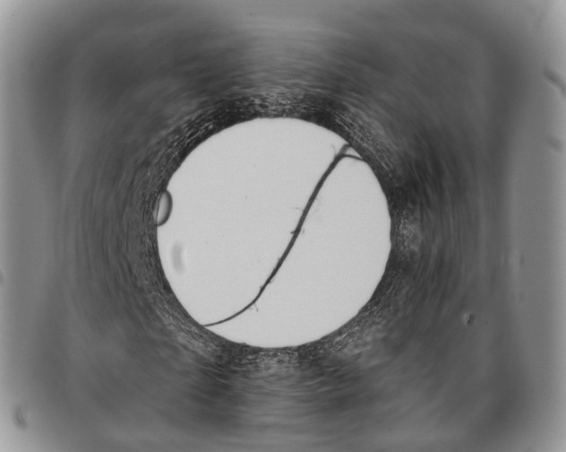 X0000096710865200803041339