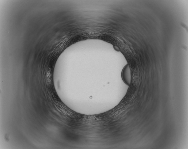 X0000096710866200803041339