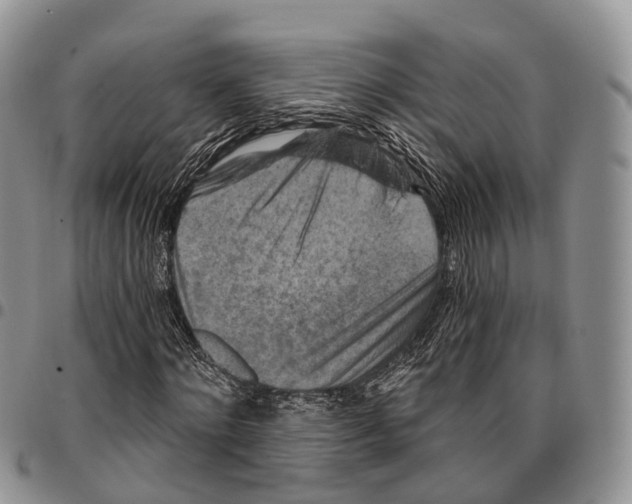 X0000096710868200803041339