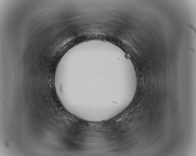 X0000096710870200803041339