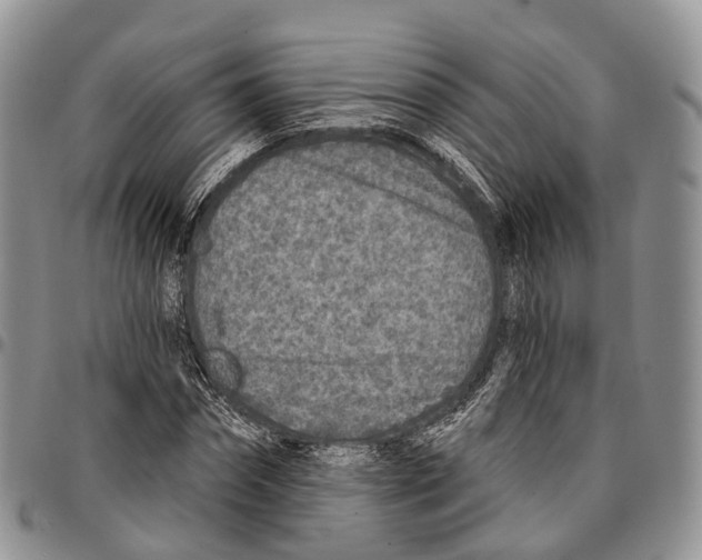 X0000096710874200803041339