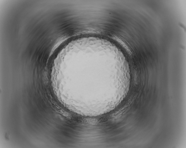 X0000096710878200803041339