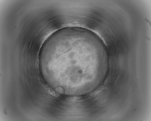 X0000096710879200803041339