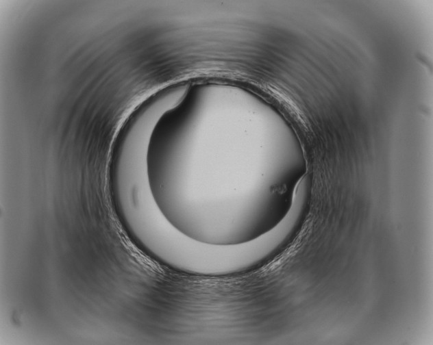 X0000096710880200803041339