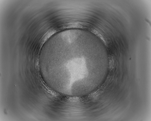 X0000096710882200803041339