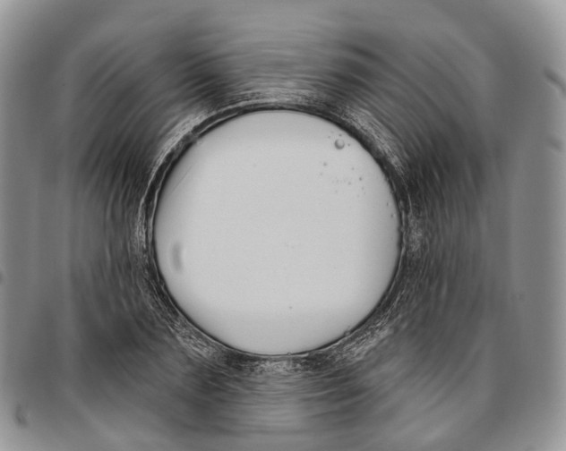 X0000096710883200803041339