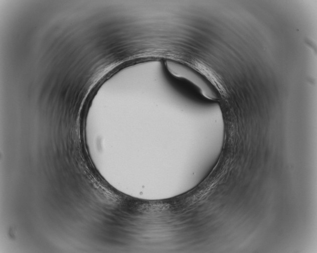 X0000096710884200803041339