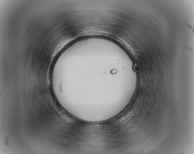 X0000096710885200803041339