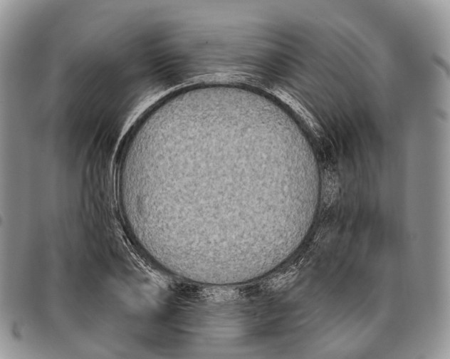 X0000096710886200803041339