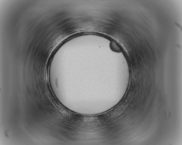 X0000096710887200803041339