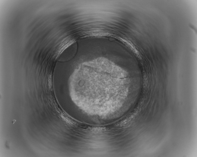 X0000096710889200803041338