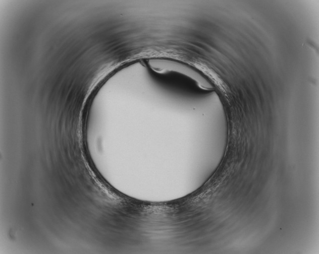 X0000096710894200803041338