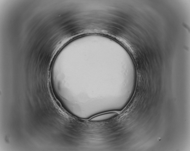 X0000096710895200803041338