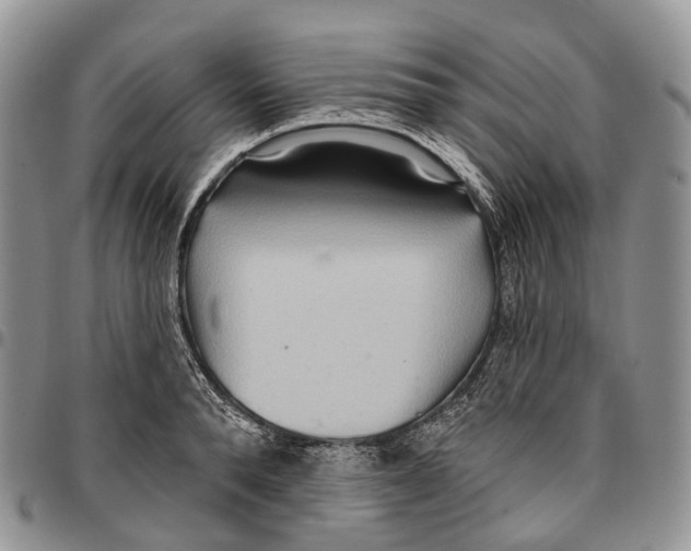 X0000096710896200803041338