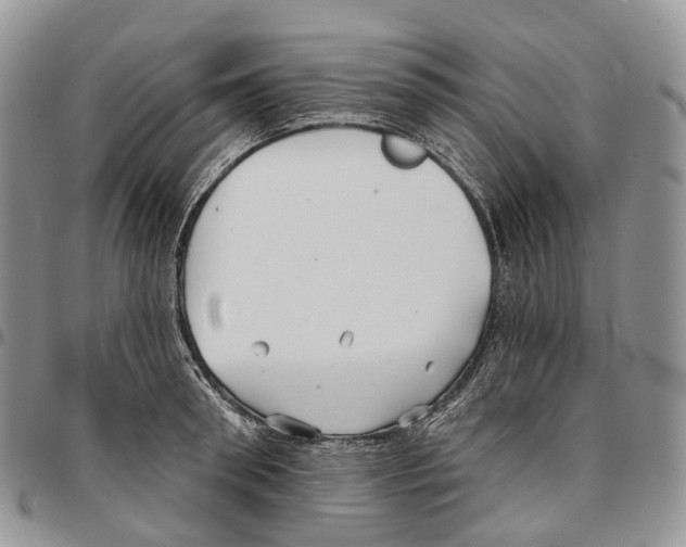 X0000096710898200803041338