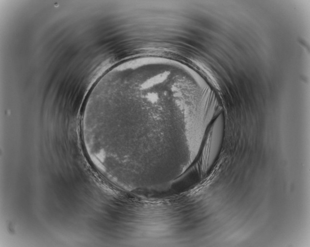 X0000096710899200803041338