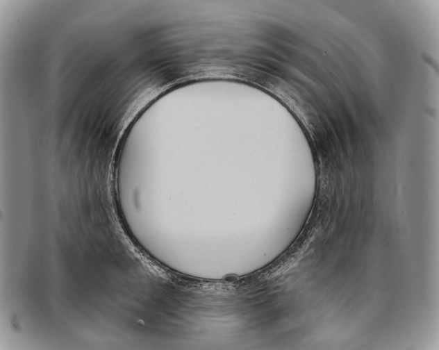 X0000096710901200803041338