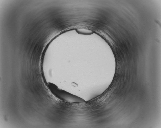 X0000096710902200803041338