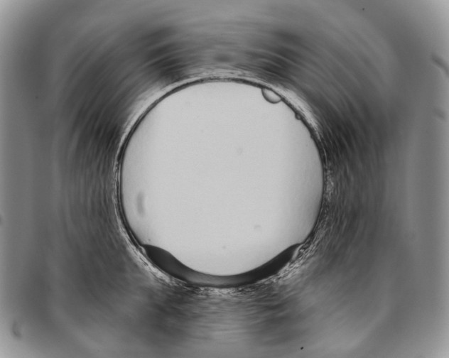 X0000096710903200803041338