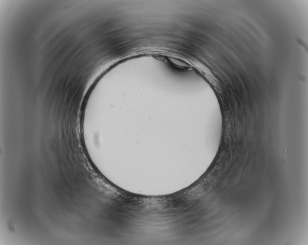 X0000096710904200803041338