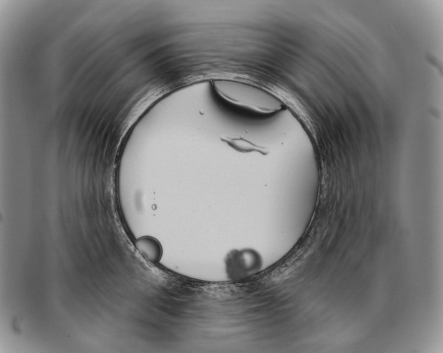 X0000096710906200803041338