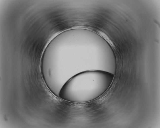 X0000096710908200803041338