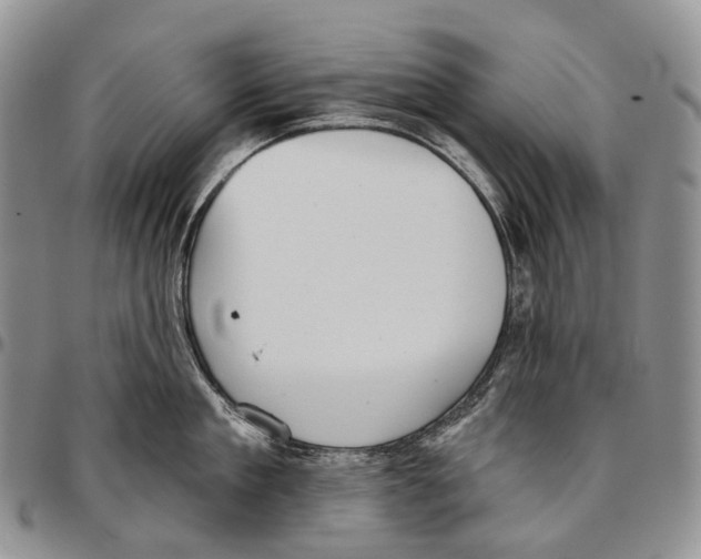 X0000096710909200803041338