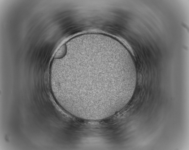 X0000096710911200803041338