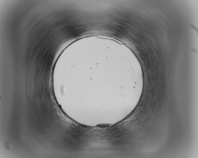 X0000096710912200803041338