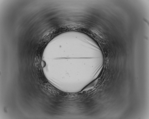 X0000096710917200803041338