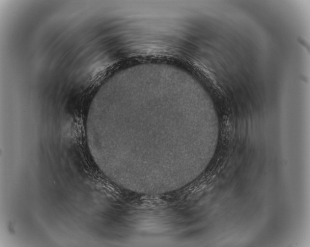 X0000096710918200803041338