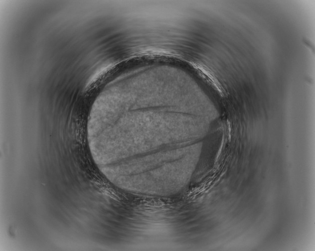 X0000096710919200803041338