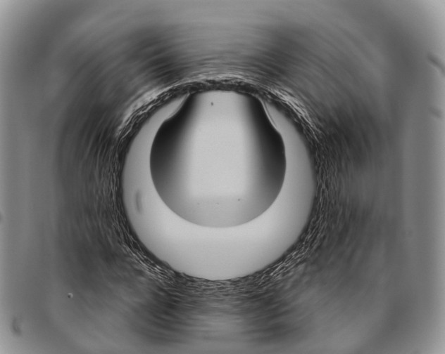 X0000096710920200803041338