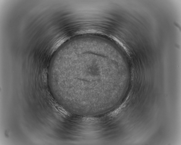 X0000096710921200803041338