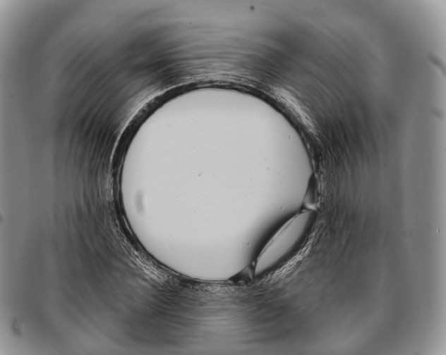 X0000096710924200803041338