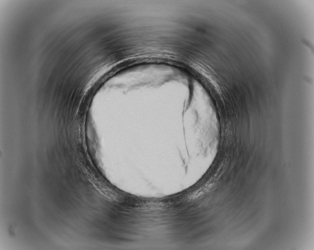 X0000096710925200803041338