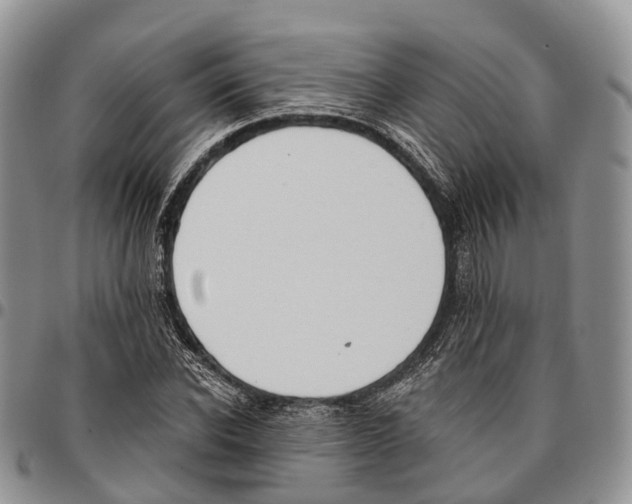 X0000096710926200803041338